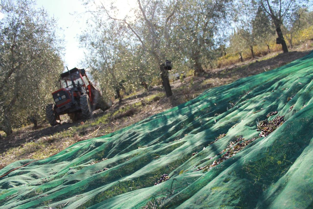 Agriturismo Il Poderuccio Castiglione d'Orcia Ngoại thất bức ảnh